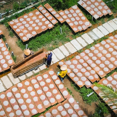 Làng Bánh Tráng Thuận Hưng